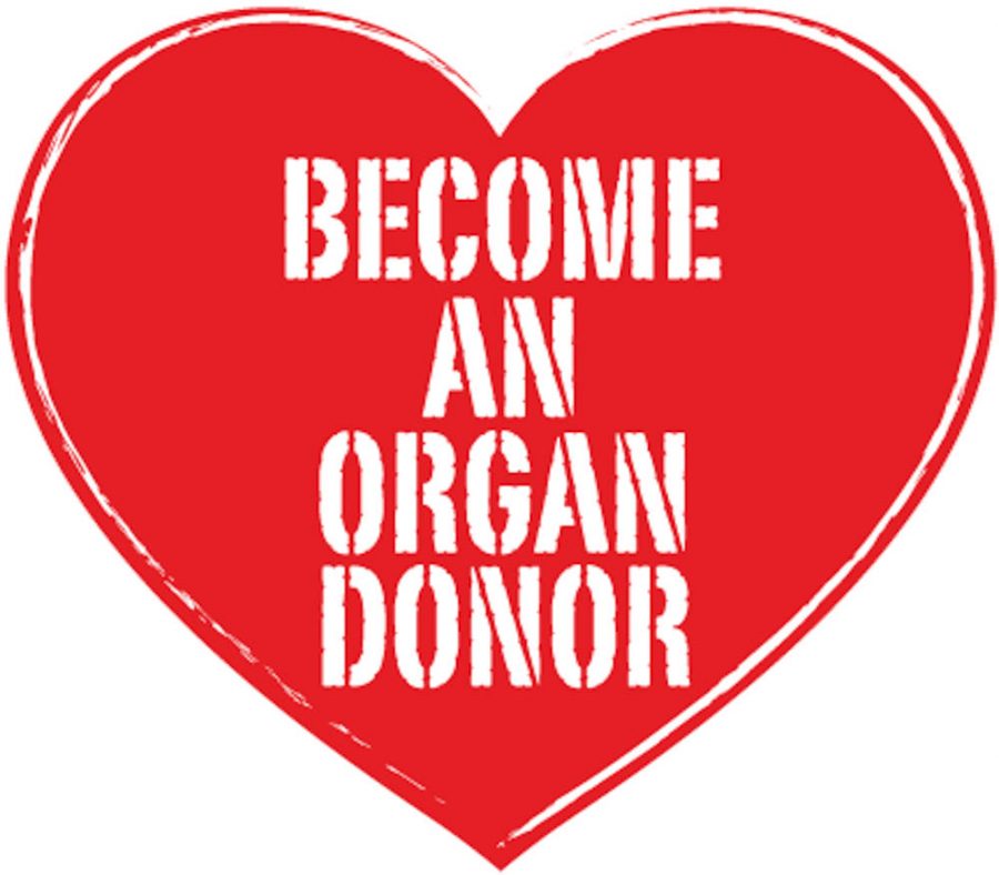 Earning a driver license includes organ donor decision