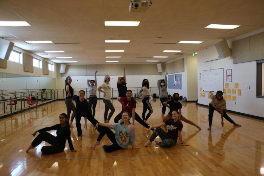For students who love to dance, the Dance Company is worth a try.