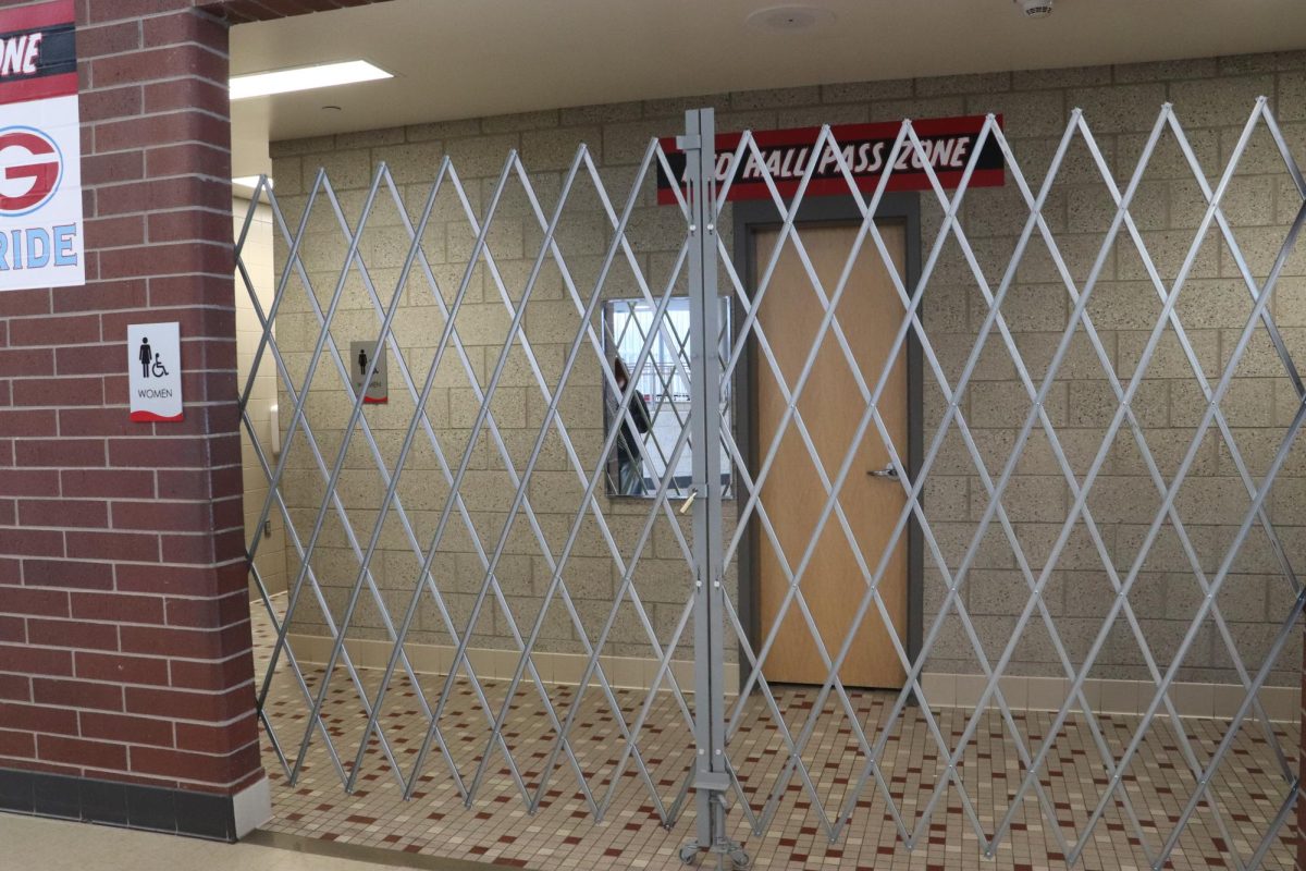 Bathroom gates prevent misuse and bad behavior