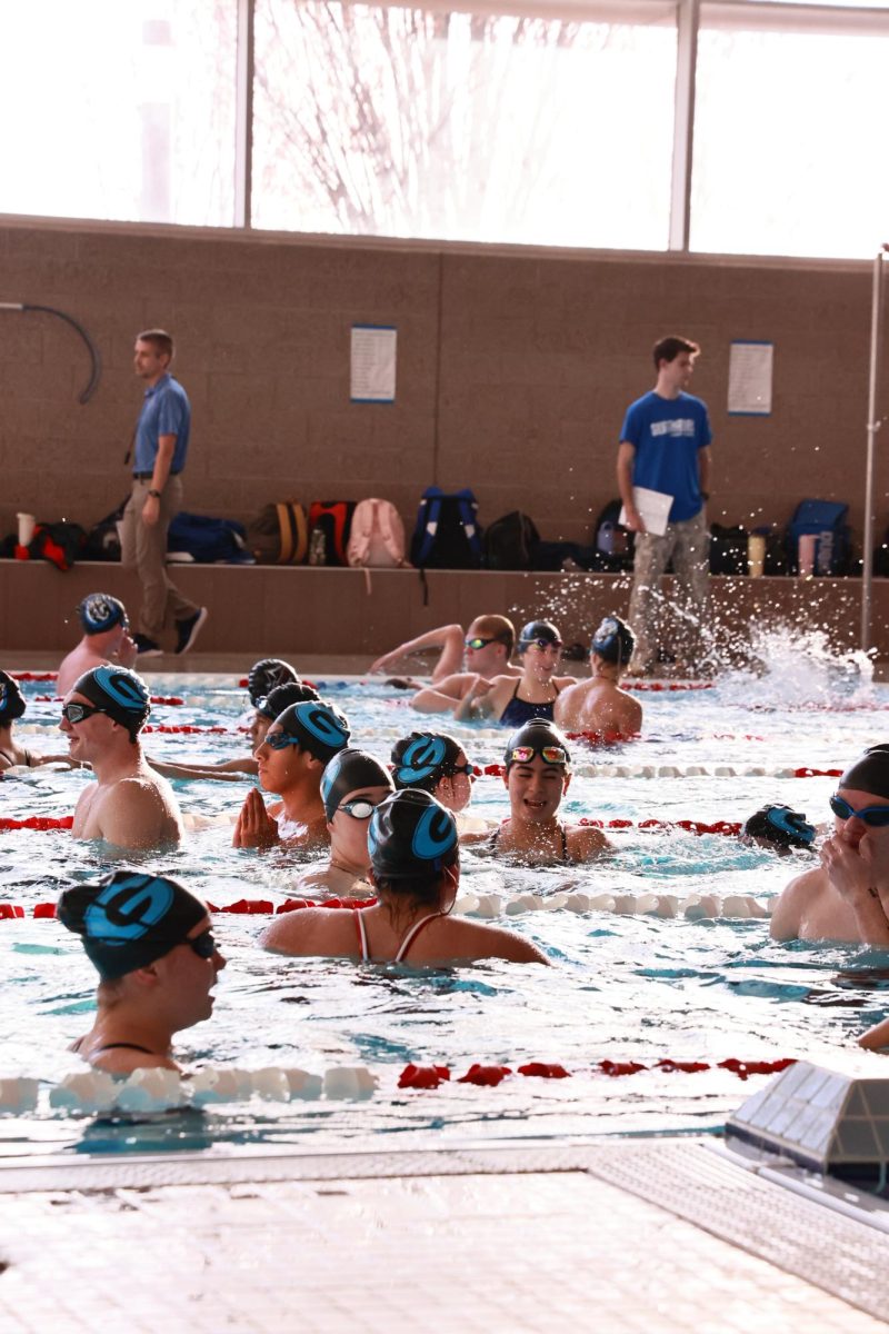 Swimming Into Next Year