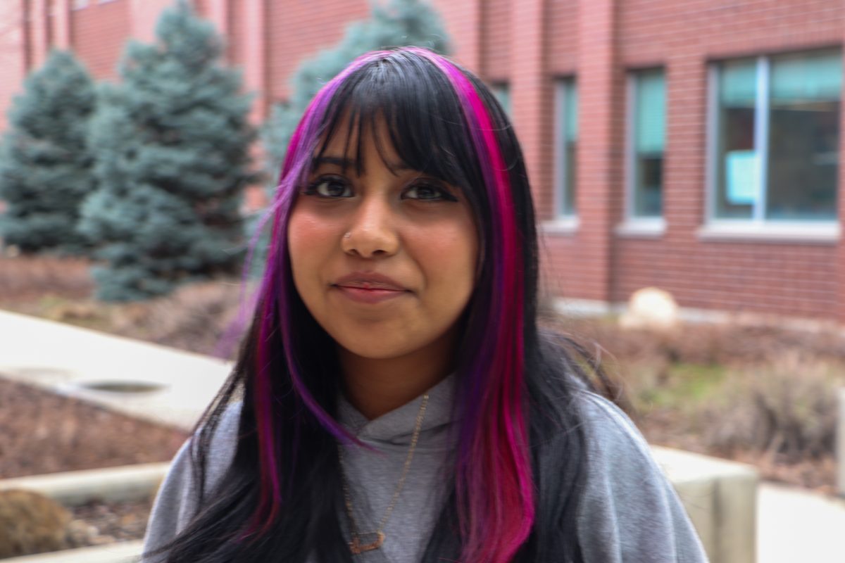 Highlights in every hue hit the halls!