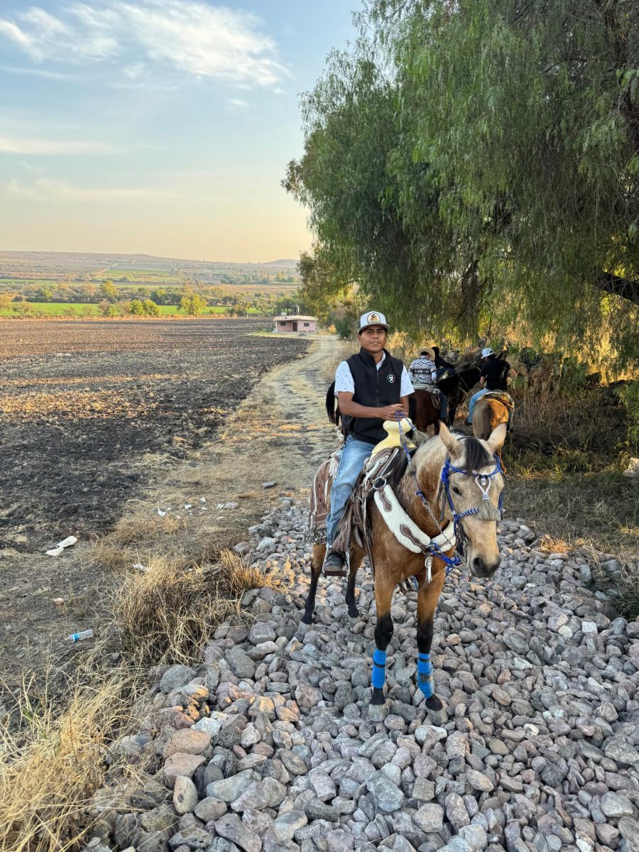 Ernesto on his horse, El Parrandero.